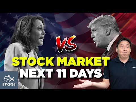 Stock Market Next 11 Days