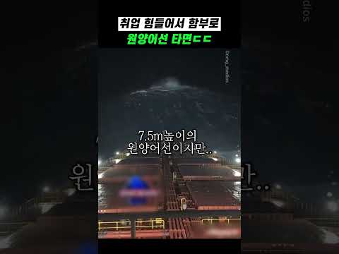 <strong>취업</strong> 힘들어서 함부로 원양어선 타면ㄷㄷ