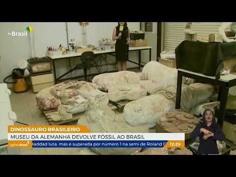 Fóssil de dinossauro brasileiro é devolvido e será repatriado