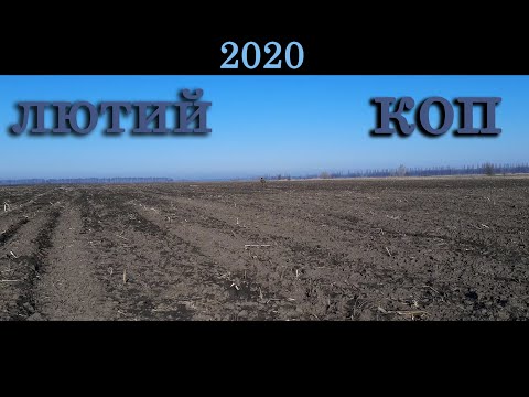 Лютий. Пошук скарбів Київської області. Коп 2020
