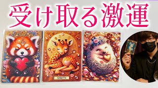 🌈あなたが受け取る激運😆 今まさに来ている事は？タロット占い🔮