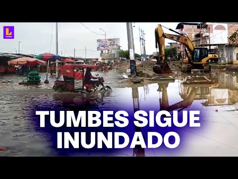 Fuertes lluvias continúan en Tumbes: Inundaciones en varias zonas causan pérdidas económicas