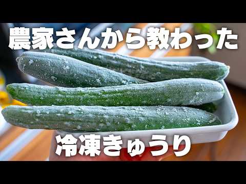 【冷凍きゅうり】これは便利!きゅうりは丸ごと冷凍保存が良い【きゅうり漬け】