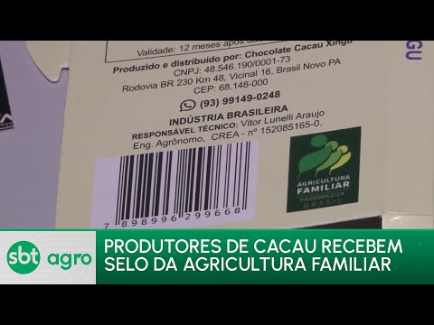SBT Agro 18/03/24: Produtores de cacau certificados pela agricultura familiar