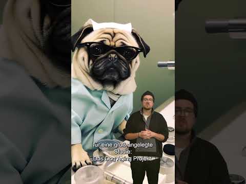 Würdest du deinem Hund das Medikament geben? 🐶💊