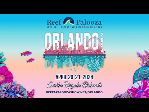 Reefapalooza Orlando is Celebrating 10 Years! Reefapalooza Orlando is celebrating its 10th anniversary this year! 🎉

This year’s event is set