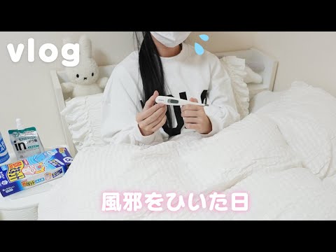 【vlog】風邪をひいて具合悪い時の過ごし方 | かぜの日の食事 サンキューマート購入品