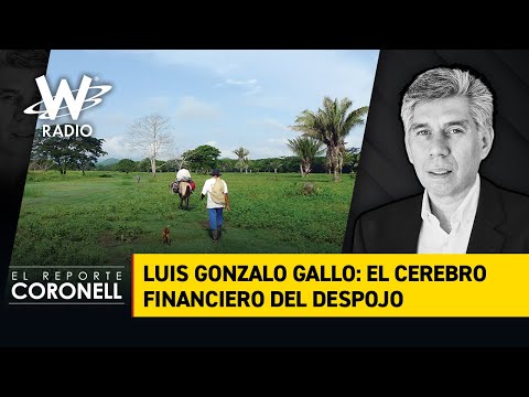 Luis Gonzalo Gallo: el cerebro financiero del despojo