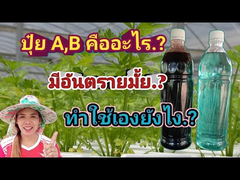 ปุ๋ยA,Bคืออะไรมีสารอันตรายไหม