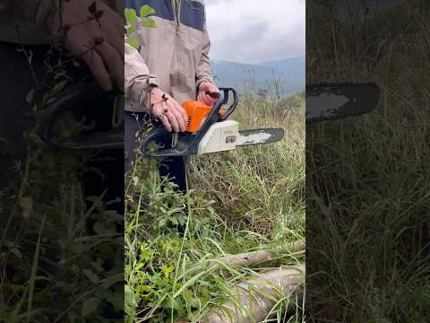 STIHL - MS 180 (2019) холодний запуск і робота