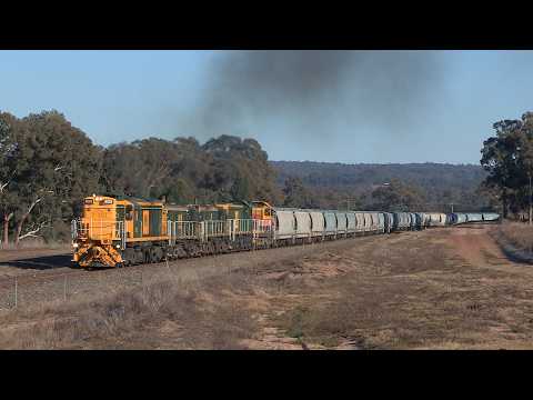 Bernie Baker driving 602, 48s35, 48s28, 4908 & 4911 - Binnaway to Werris Creek - August 2017