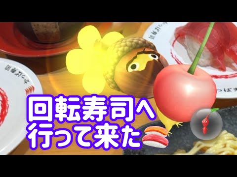 久しぶりに回転寿司へ🍣 #pikmin #ピクミン #寿司 #sushi