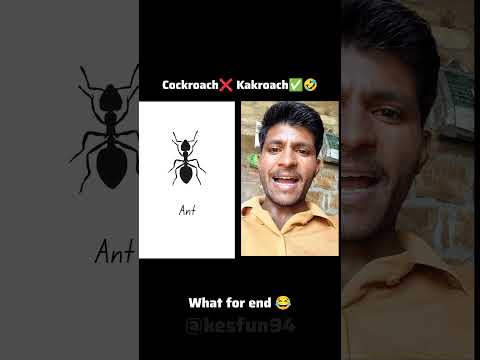 what is this called  #shorts #called #funny