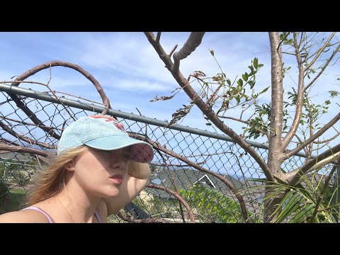 3 days of NIGHTMARE in Jamaica Hurricane Melissa How it was for us and what we ended up with 