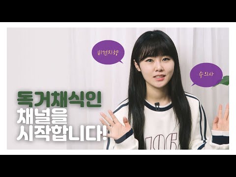 채식하는 수의사 브이로그 : 채식하게 된 계기? 스터디 채널? 앞으로의 계획?