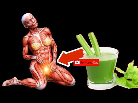 Minum Teh Dari Seledri Di Rumah Ternyata Ini Khasiatnya