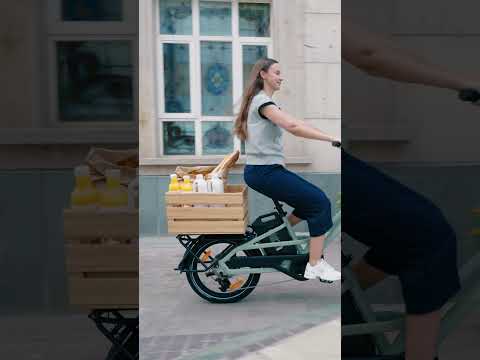 Which cargo rider are you? 🚲👇#Fiido #FiidoT3 #FiidoEBike #CargoEBike  #CargoRider