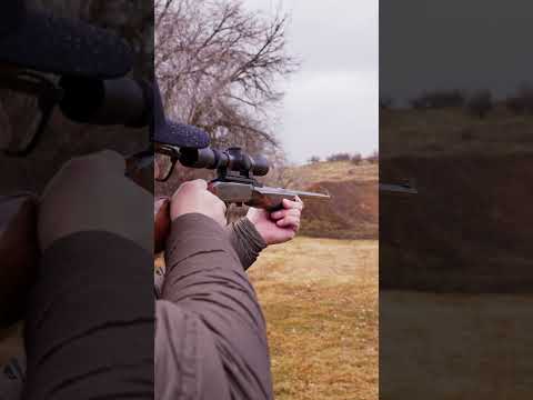 Semi-Auto 22, Grade I #Browning #sa22 #22lr