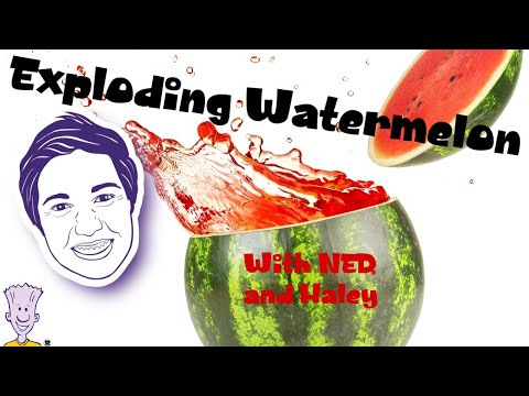 Exploding Watermelon Experiment with NED and Haley: A NED Short