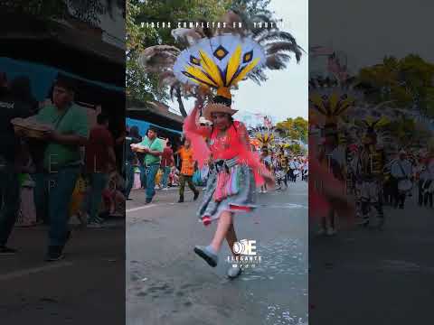 🇧🇴 en COCHABAMBA carnaval concordia danza suri sicuri #cultura #folklore #Bolivia corso de corsos