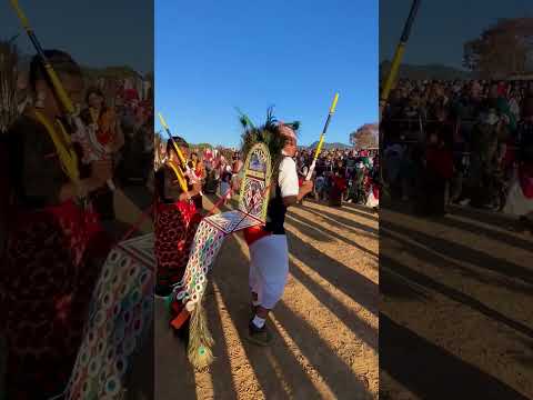 Nepali Cultural Dance 😊❤️🙏 #dance  #mayurdance
