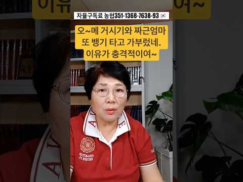<strong>오</strong>~메 거시기와 짜근엄마 또 뱅기 타고 가부렀네..이유가 충격적이여~