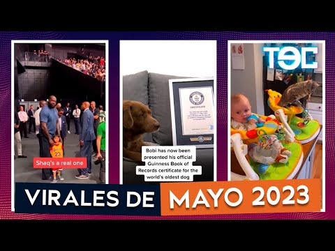 Los videos más virales de mayo 2023