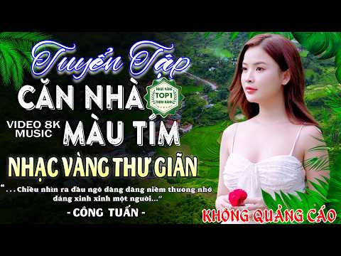 CĂN NHÀ MÀU TÍM🛑Nhạc Bolero Trữ Tình 5.0✨LK Rumba Chọn Lọc 2026- Công Tuấn NHẠC VÀNG HIẾM