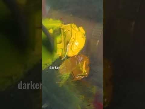 Bob Ross adds bushes to the foreground of his painting