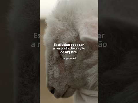 Esse vídeo pode ser a resposta de oração de alguém! Compartilha🙏🏼 #shorts #fernandinho