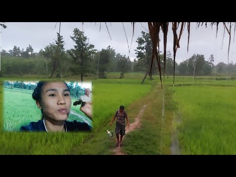ฝนตกรินได้บรรยากาศ-ปั้นข้าวเหน ฝนตกรินได้บรรยากาศ-ปั้นข้าวเหน