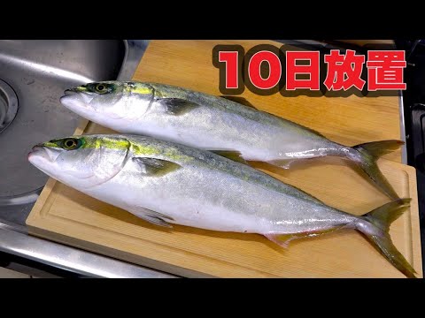 10日間内臓を入れたまま冷蔵庫に放置した魚がヤバすぎた