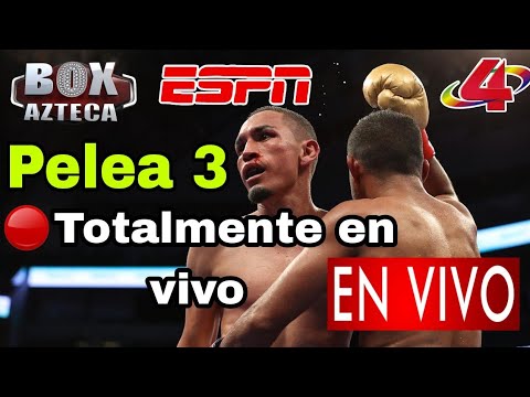 Gallo Estrada vs. Chocolatito en vivo, por el título supermosca CMB