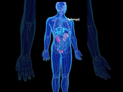 El lugar donde cayó 'El Mencho'