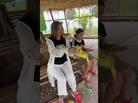 ที่นี่มีนกเยอะจังเลย #automobile #lifeisbutadream #haveitoldyoulatelythatiloveyou #travel #vlog