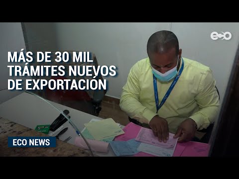 Más de 30 mil trámites nuevos de exportación panameña | Eco News