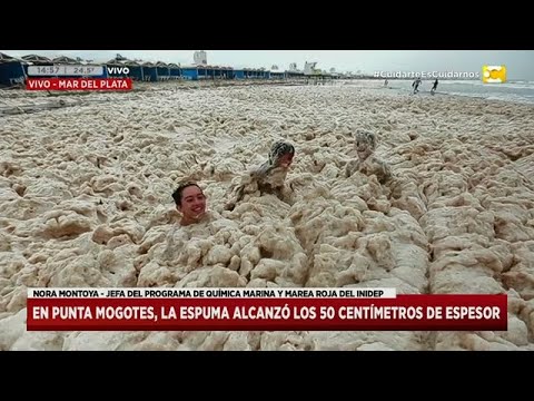 Mar del Plata: por qué las playas se llenaron de espuma en Hoy Nos Toca