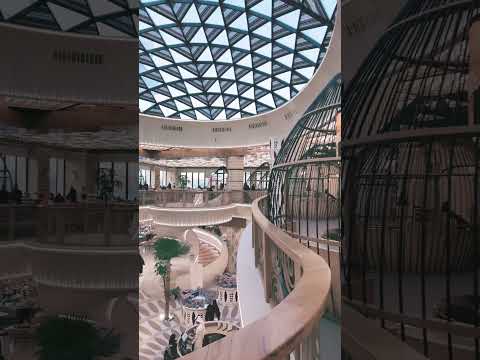 ٥ جمادى الأولى، ١٤٤٧ هـ