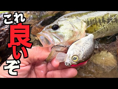 【伝説のバス釣りルアー復活!!】秋のブラックバスをこのルアーで狙ってみた結果!?