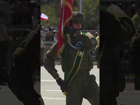 Carabineros rinden homenaje a mártires de ataque en Cañete