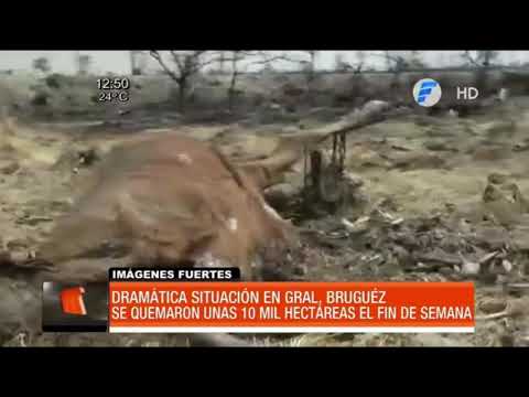 Incendio consumió viviendas y mató animales en Gral. Bruguez, Chaco