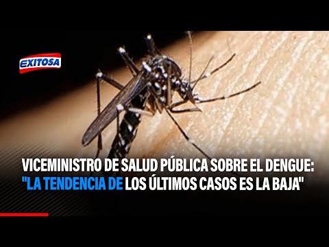 Viceministro de Salud Pública sobre el dengue: La tendencia de los últimos casos es la baja
