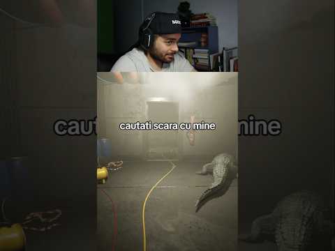 E un câine ciudat la mine în beci
