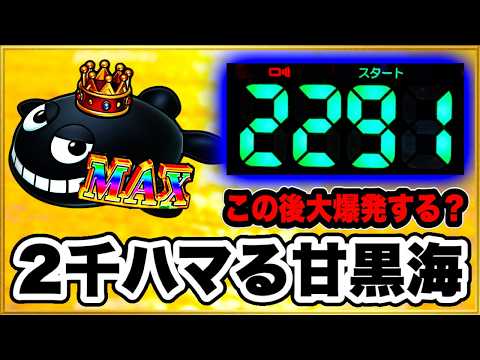 パチンコ 新台【大海物語5ブラック99】甘デジで2300ハマりの台は当たったらLT大爆発するのか試してみたらまさかの激アツな結果に！ 先バレ音最高！【PA大海物語5ブラックLT99ver.】