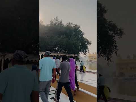 #harmindersahib #darbarsahib #gurudwara #goldentemple #amritsar #shrigururamdasji #story #status