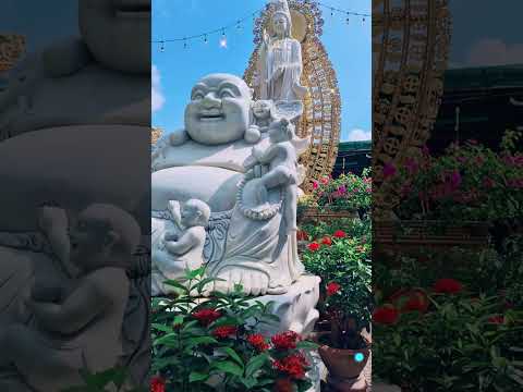 TÂM BÌNH THẾ GIỚI BÌNH