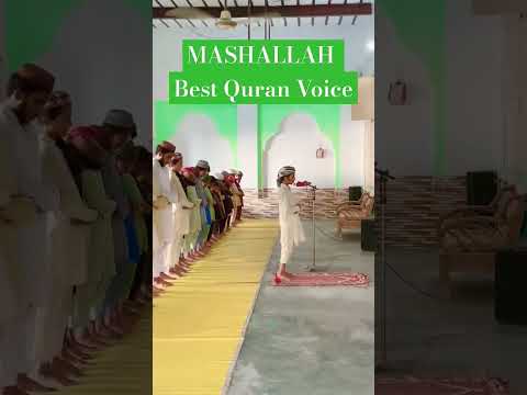Surah Tariq Best Quran Voice #quran #quranrecitation #shortsfeed #viralshorts #2025