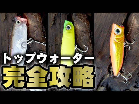 トップウォーター完全攻略ガイド【ドッグウォーク編】