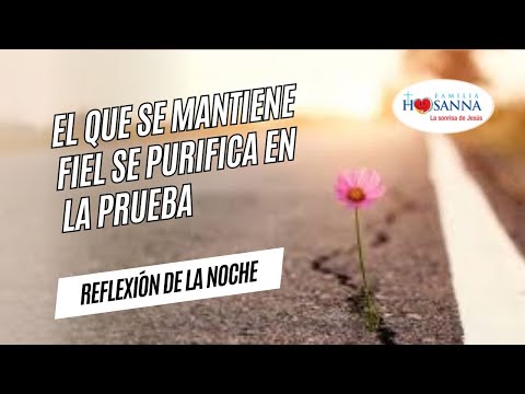 El fiel se purifica en la prueba #ReflexiónDeNoche, Viernes 13 Septiembre 2024 #PadreJohnAlbeiro #FH