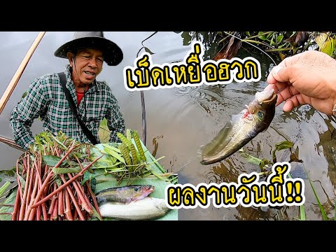 เบ็ดเหยื่อฮวกวันนี้-จัดไป2ตัว! เบ็ดเหยื่อฮวกวันนี้-จัดไป2ตัว!